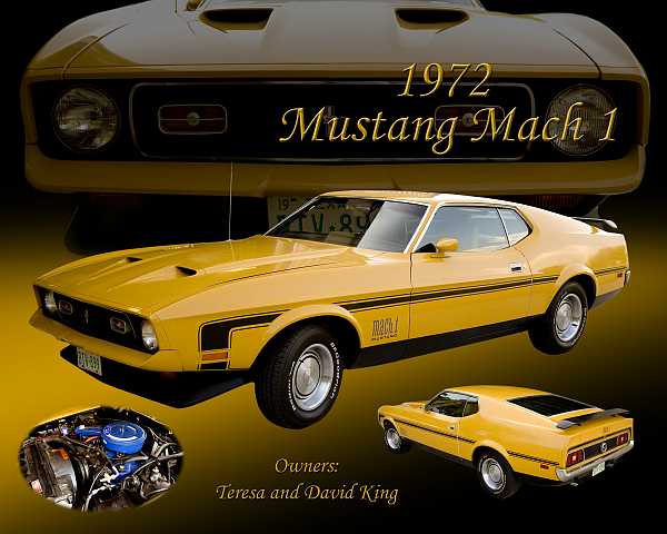 http://www.barkingranch.com/garage/images/72%20Mustang%20Mach%201%20Medium%20Yellow.jpg